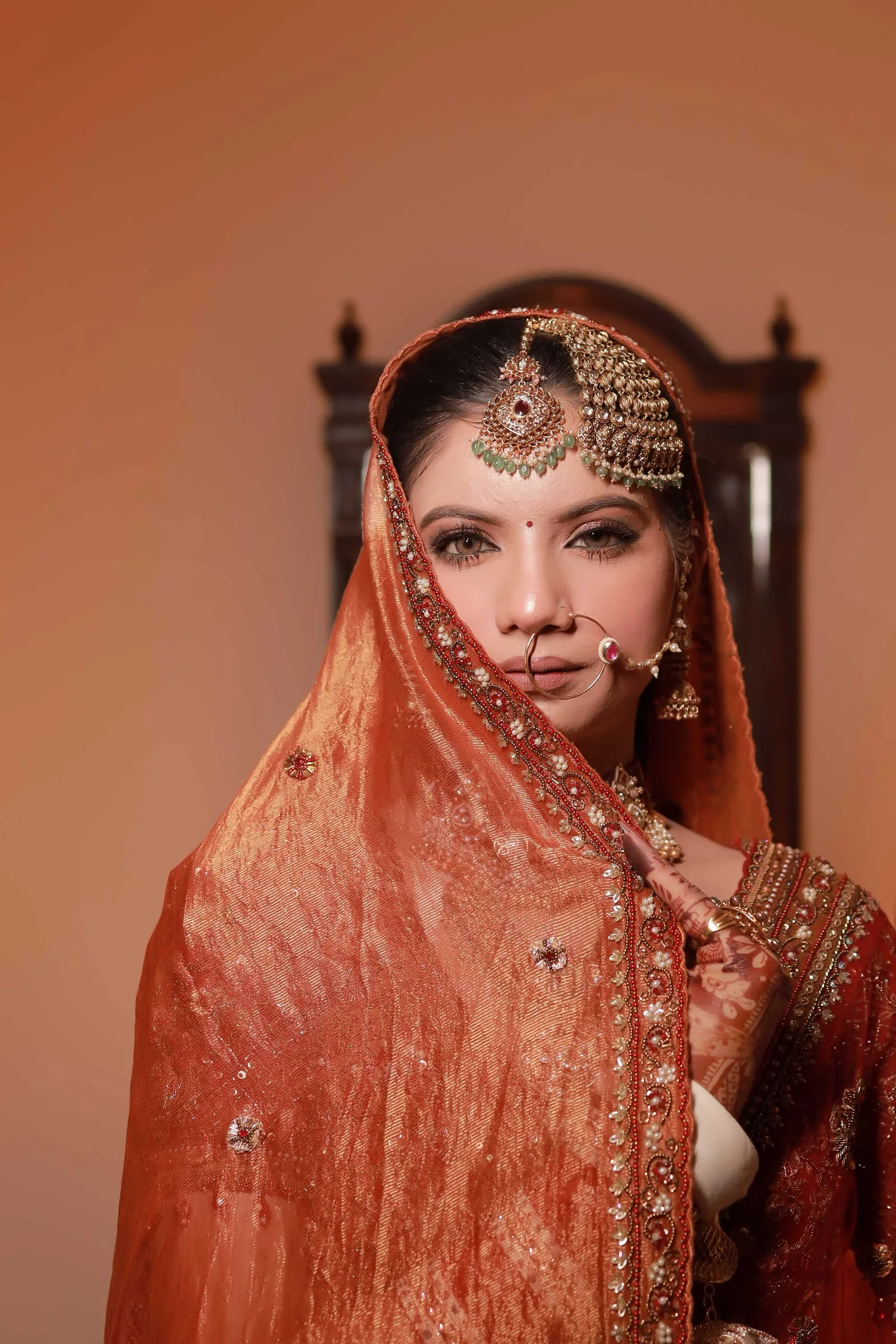 Bride framed by her embroidered veil